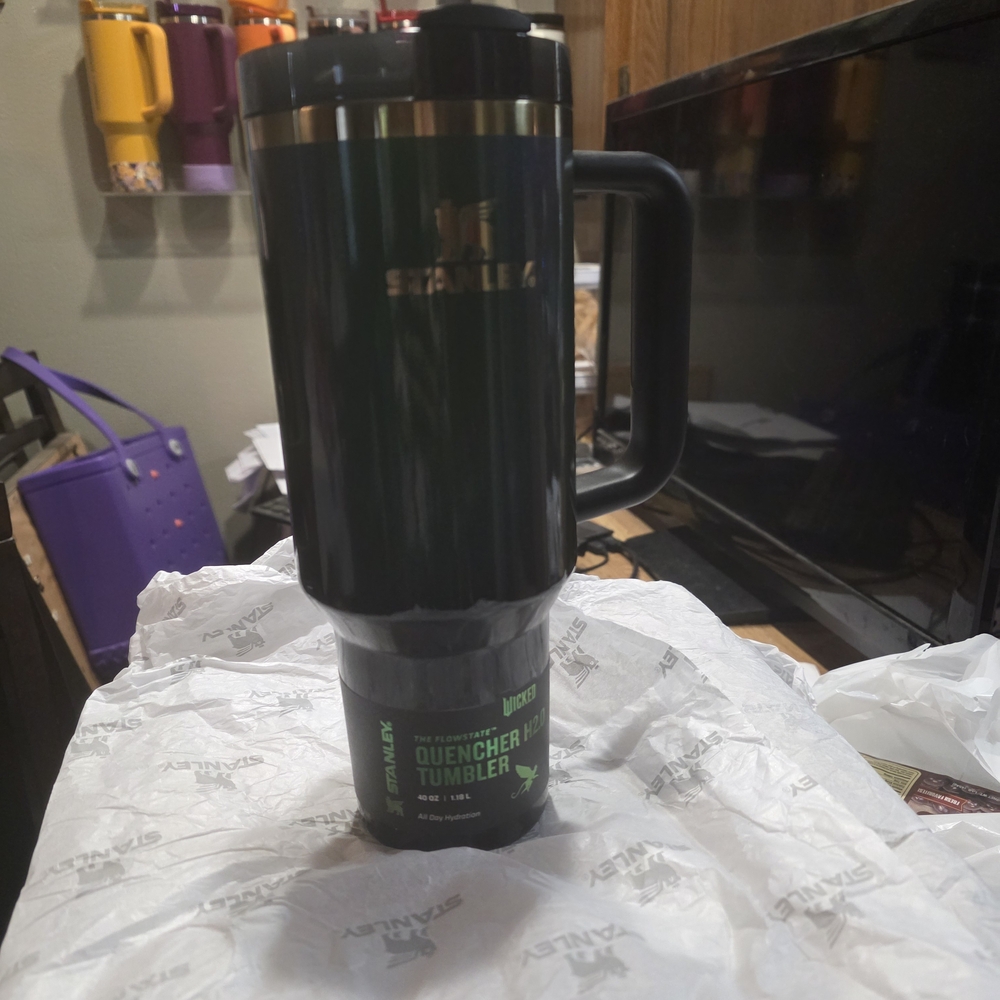 Nwt And Flawless Elphaba 40oz 2024 Sold Out Target Exclusive Wicked Release